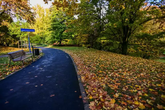 Park Fosa i Stoki Cytadeli to miejsce, gdzie pamięć o tragicznych kartach historii Polski, przenika się z wyjątkowo malowniczą, dziką przyrodą.