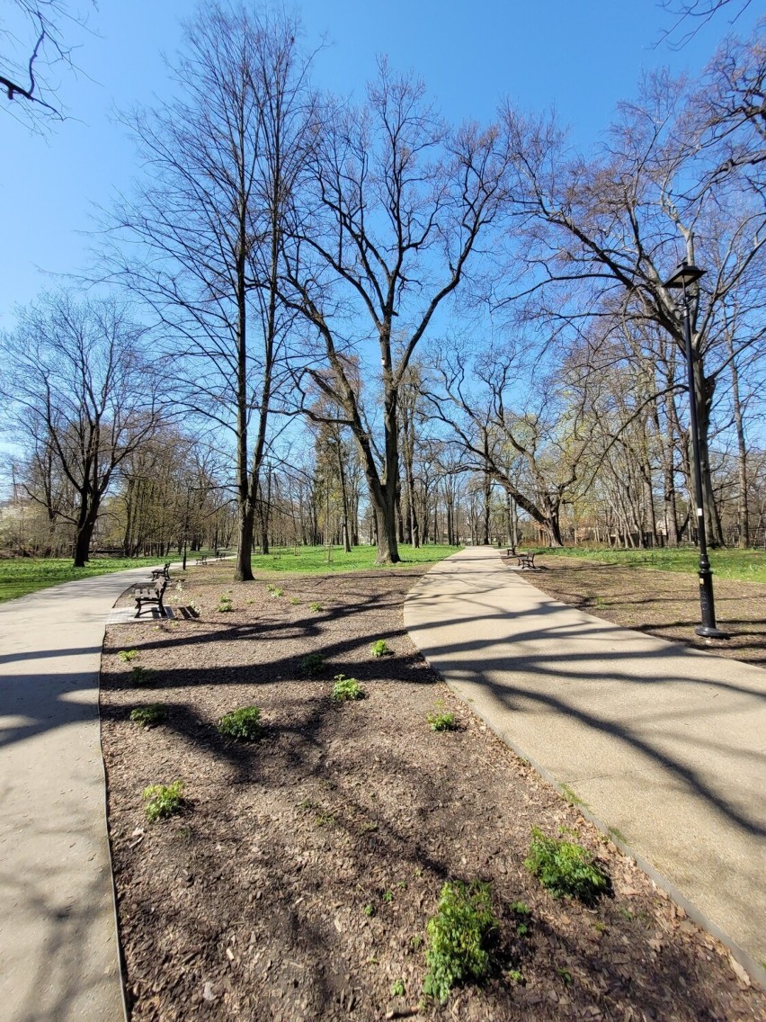 W ostatnich latach Park Jerzmanowskich przeszedł...