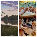 Roztocze jesienią - zobacz jak jest pięknie i kolorowo