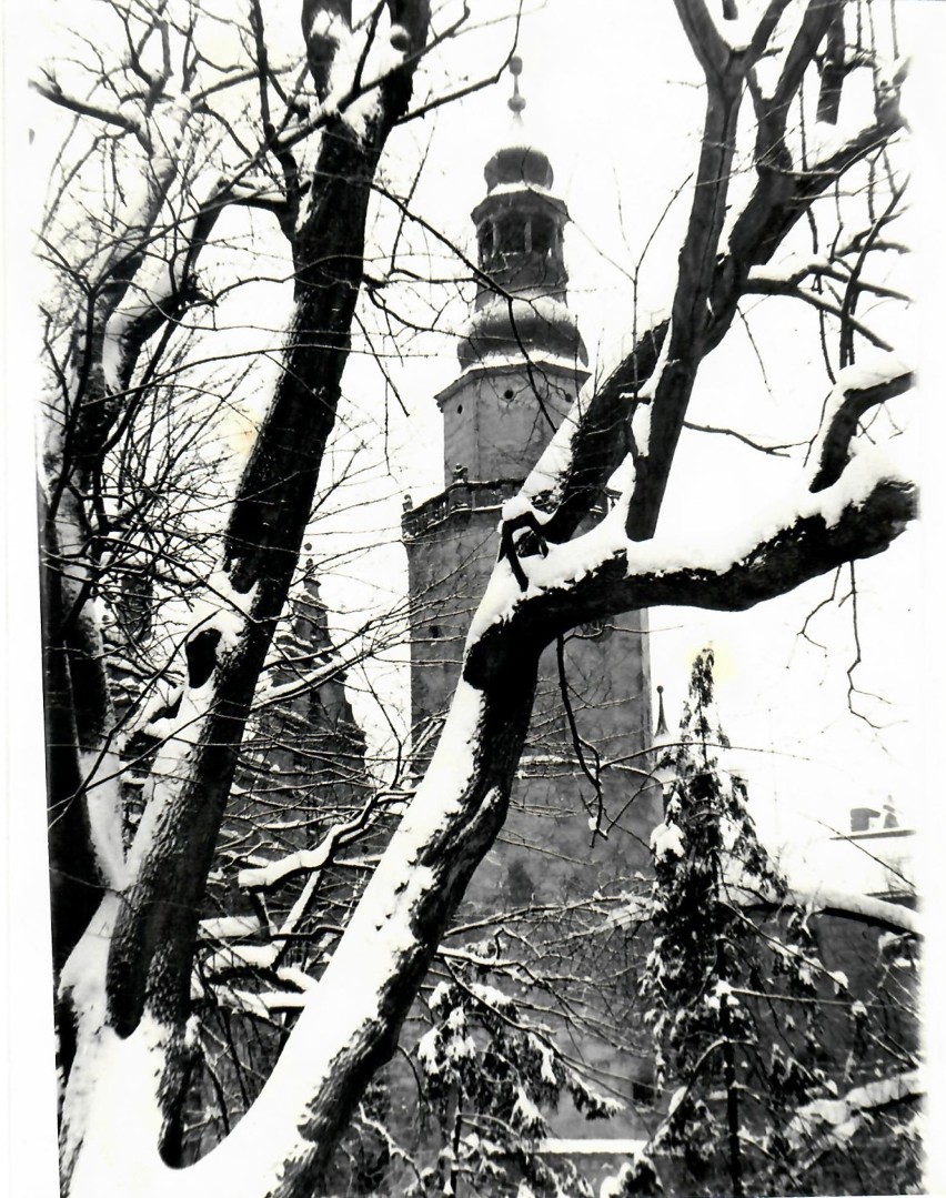 Oleśnica na starych fotografiach. Zobacz, jak kiedyś wyglądało nasze miasto 