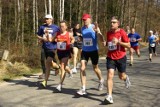 Półmaraton Ślężański 2015 Sobótka [trasa, utrudnienia]