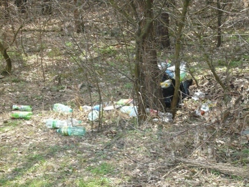 Dzikie wysypisko śmieci w Borowiczkach
