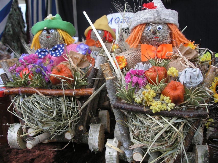 Piknik ekologiczny w Dworku Drzewiarza w Gościcinie