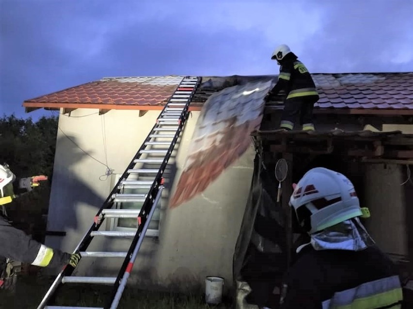 Na terenie ogródków działkowych przy ulicy Średniej w Solcu...