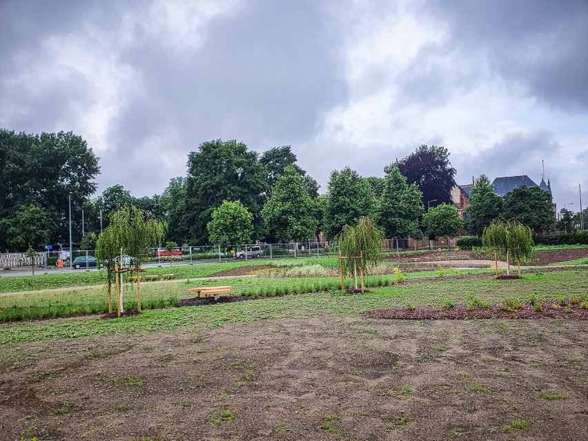 Ogród deszczowy w Lesznie