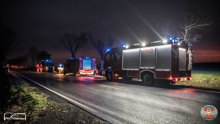 Z AKCJI: Znamy szczegóły strażackiej akcji w Czarnym Sadzie [ZDJĘCIA]