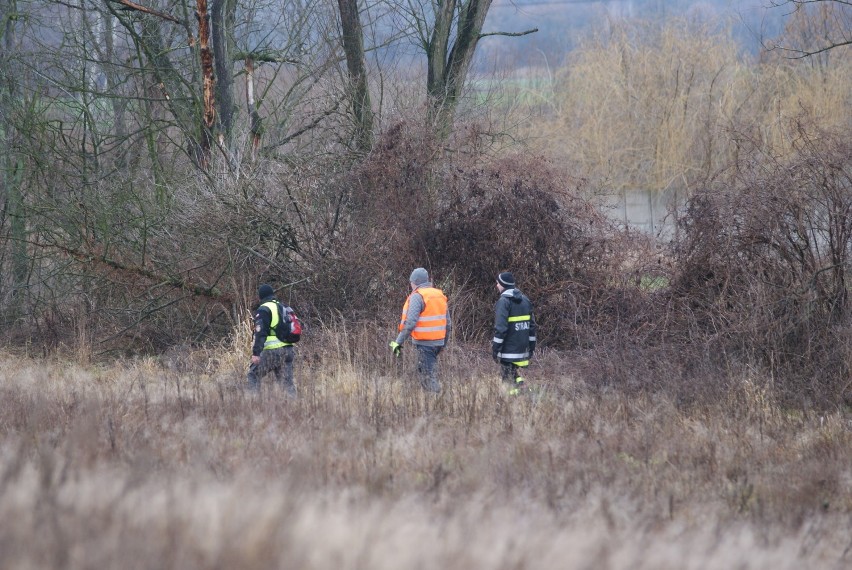 Przeszło sto osób szukało w Kaliszu zaginionego mieszkańca Kościelnej Wsi. ZDJĘCIA