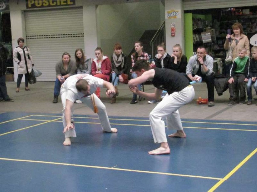 capoeira camangula myszków 2014 galeria oczko