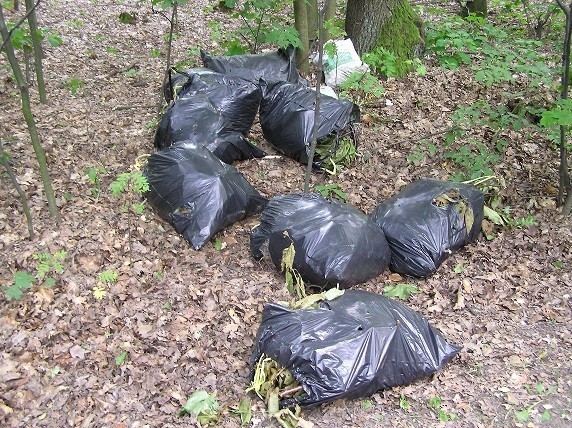Śmieci w dzielnicy Kleszczówka