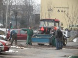 Drzewa Żory: Wycinka brzóz w pobliżu parkingu na jednym z żorskich osiedli. Co dalej?