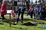 Nowy Sącz. Posadzili na Plantach drzewo pamięci hrabiego Stadnickiego