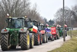 Strajk generalny rolników. Rolnicy wyjechali na ulice Prabut. Niemal 140 maszyn rolniczych na ulicach miasta