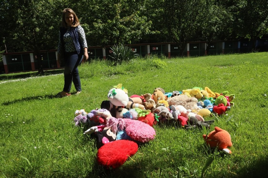 Kilkaset maskotek dla piesków w legnickim schronisku [ZDJĘCIA]