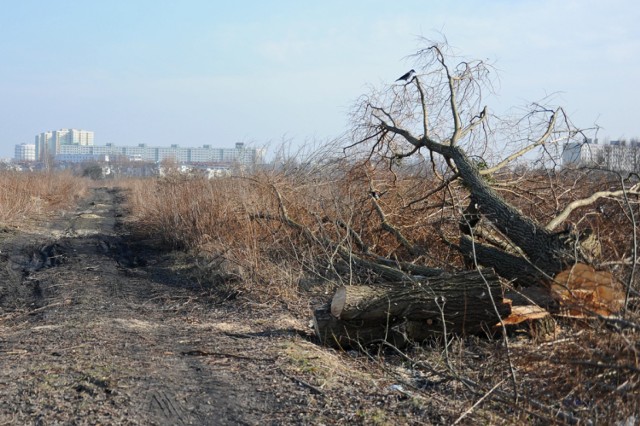 CH "Łacina": przyszły plac budowy