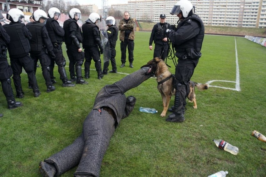 Szkolenie policji na stadionie w Jastrzębiu
