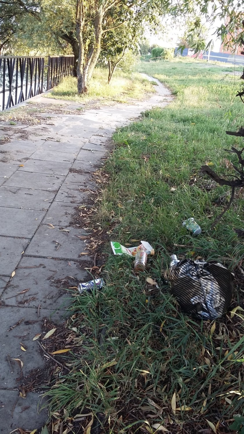 Coraz więcej śmieci na terenach przy Motławie w Gdańsku. Co na to straż miejska? [ZDJĘCIA]