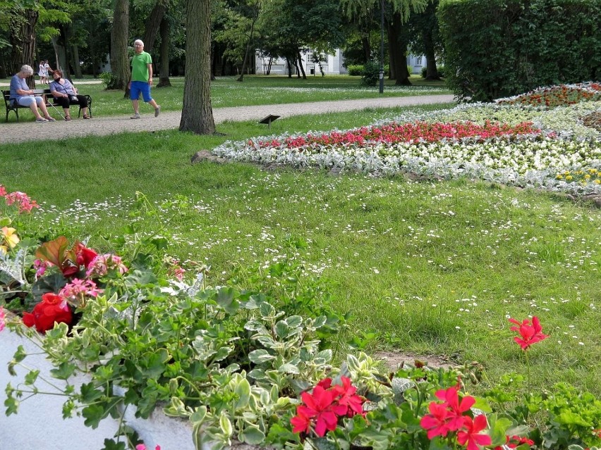 Niedziela w inowrocławskich Solankach. Tak było 6 czerwca 2021 r. w tym pięknym parku zdrojowym [zdjęcia]