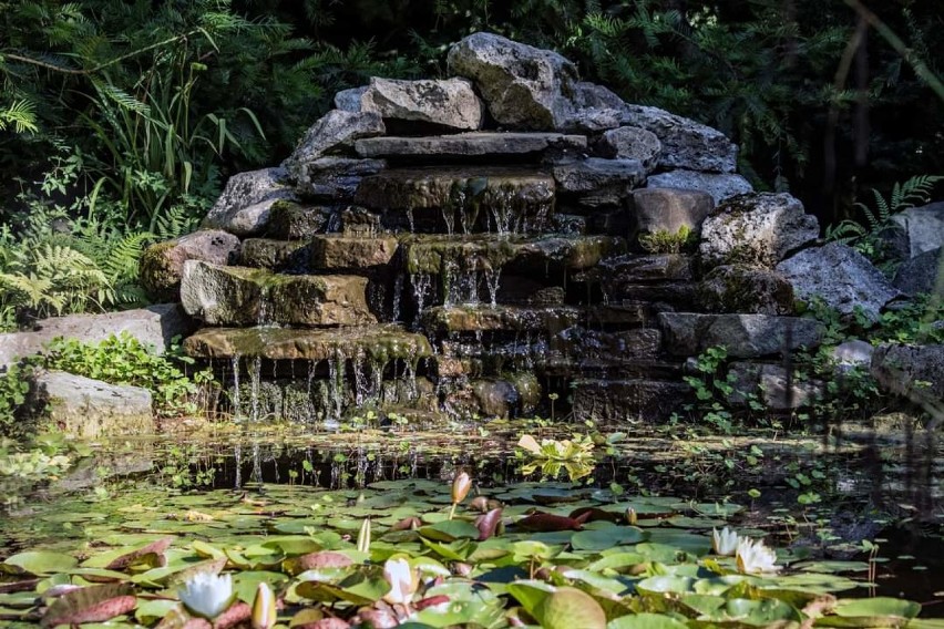 Arboretum w Bolestraszycach. Zapraszamy do niezwykłego ogrodu [ZDJĘCIA]