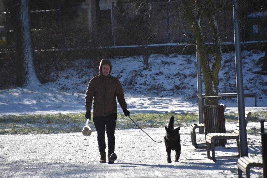 Park Sowińskiego w Zielonej Górze zimą także wygląda...