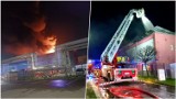 Pożar hali w fabryce klocków w Mielcu. W akcji ponad 50 strażaków [ZDJĘCIA]