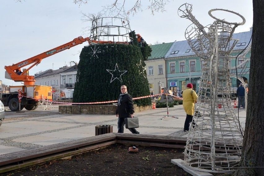 Ustawiają choinki na Rynku i placu Artystów w Kielcach 