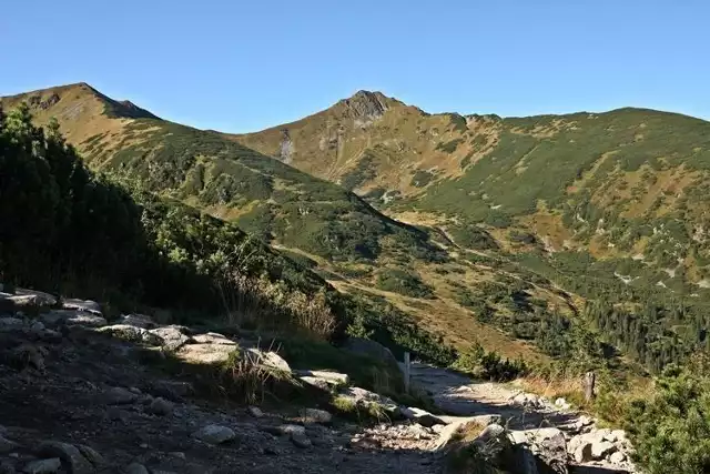 Na zielonym szlaku z Kuźnic na Kasprowy Wierch (1987 m n.p.m.) z po wyjściu z lasu. Trasa prowadzi wzdłuż kolei linowej. Fot. Tomasz Hens