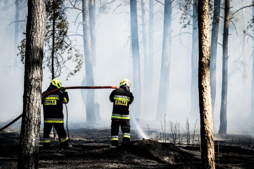 W niedzielę strażacy walczyli z pożarem, który wybuchł kilka...