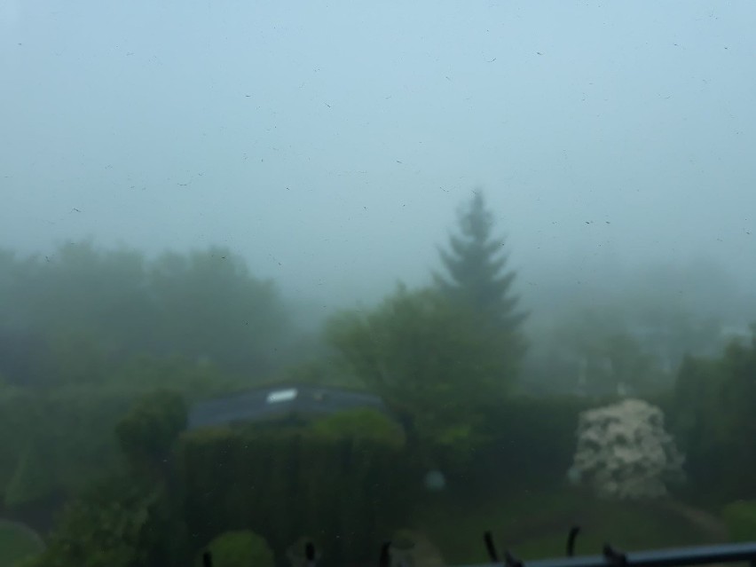 Gęsta mgła w Szczecinie. Mocno ograniczona widoczność