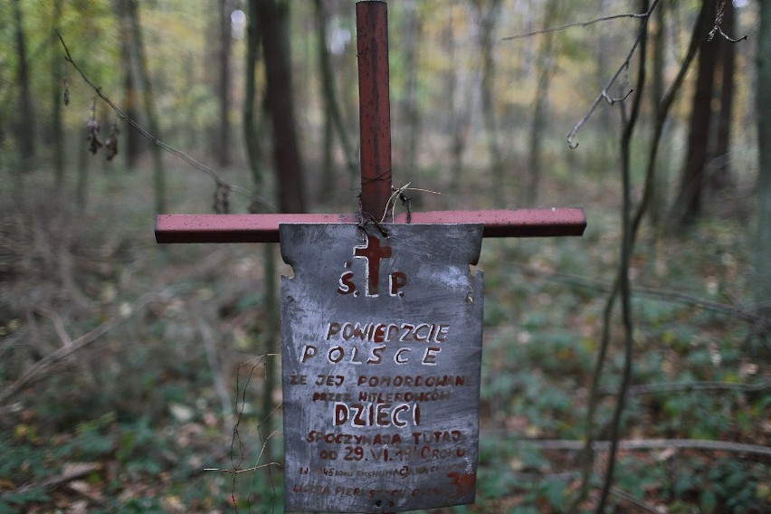 Porządki na Starym Cmentarzu i mogiła w lesie