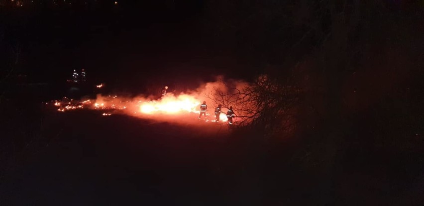 Pożar traw przy nasypie kolejowym w Prabutach. Nikomu nic się nie stało, przyczyna pożaru nie jest znana [ZDJĘCIA]