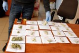 Szamotulska policja zabezpieczyła 128 kg narkotyków! Ponad 70 postępowań związanych z przestępczością narkotykową od lutego