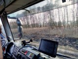 Podpalacz wrócił na teren gminy Konopnica? Tak uważają strażacy z Szynkielowa