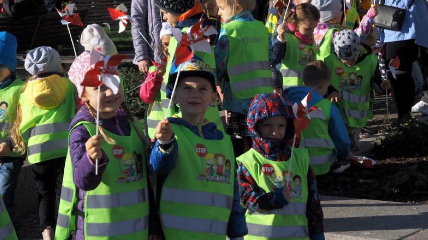 Marsz przedszkolaków z Koszalina z okazji 100 lat Niepodległości [ZDJĘCIA, WIDEO]