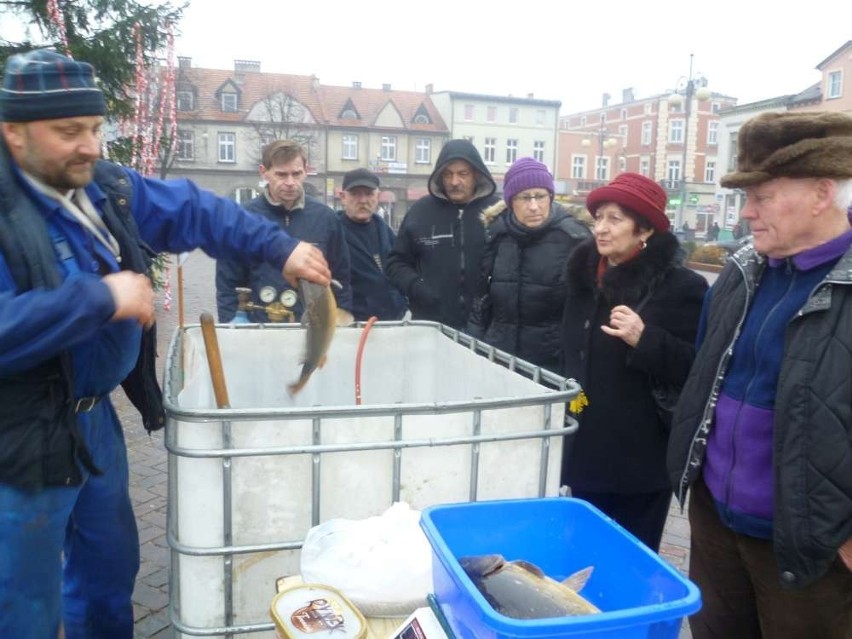 Chodzież: Sprzedaż karpi na rynku