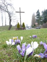 Wiosna na Rondzie Słowińców (zdjęcia)