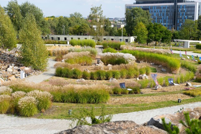 Ogród Botaniczny w Kielcach powoli przybiera jesienne barwy. Zobacz więcej zdjęć >>>