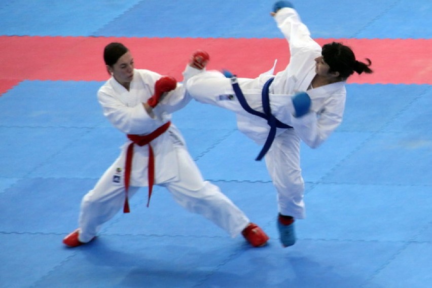 Grand Prix Poland 2011 w Karate WKF