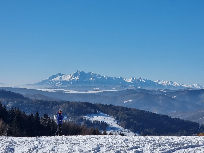 Widok na Tatry z Bacówki nad Wierchomlą