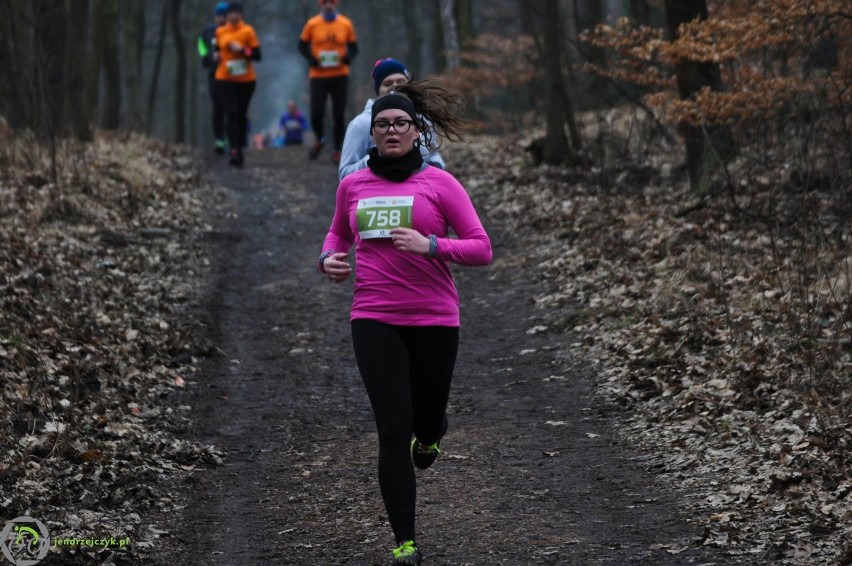 City Trail w Katowicach - zdjęcia z finałowego biegu [28 luty 2016]