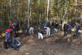W leśnictwie Tadzin młodzież posadziła 200 cisów