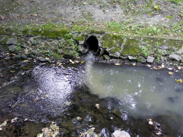 Alarm ekologiczny w Zawierciu. W piątek przez kilkadziesiąt minut trwała awaria kanalizacji w Zawierciu, która spowodowała, że ścieki trafiały prosto do Warty.