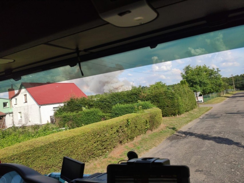 Pożar ścierniska pod Goleniowem. 17 hektarów w ogniu
