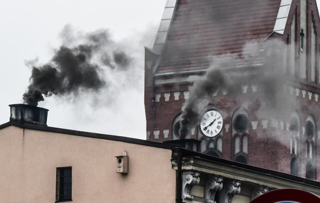 Polski Alarm Smogowy przedstawił nowy ranking miast z najbardziej rakotwórczym powietrzem w Polsce. Poprosiliśmy o zestawienie miast z naszego regionu, aby dowiedzieć się, w których miejscowościach w Kujawsko-Pomorskiem mamy najbardziej rakotwórcze powietrze.

Kujawsko-pomorskich miast z najbardziej rakotwórczym powietrzem jest jedenaście. Rekordziści przekraczają dozwolone normy aż czterokrotnie!

W których miastach kujawsko-pomorskiego powietrze jest najbardziej rakotwórcze? Sprawdź nowe dane Polskiego Alarmu Smogowego na kolejnych slajdach >>>>>