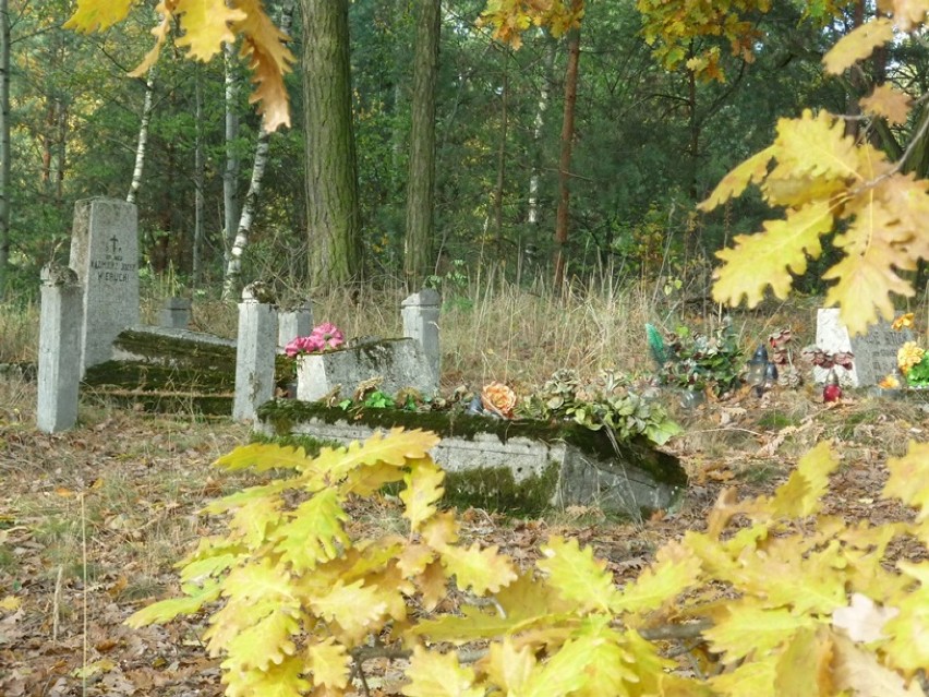 Zapomniane cmentarze. Cmentarz ewangelicko-augsburski w Świątkowicach (ZDJĘCIA)