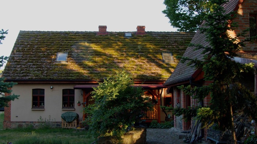 Ta chata skradła serce poetki z Wrocławia