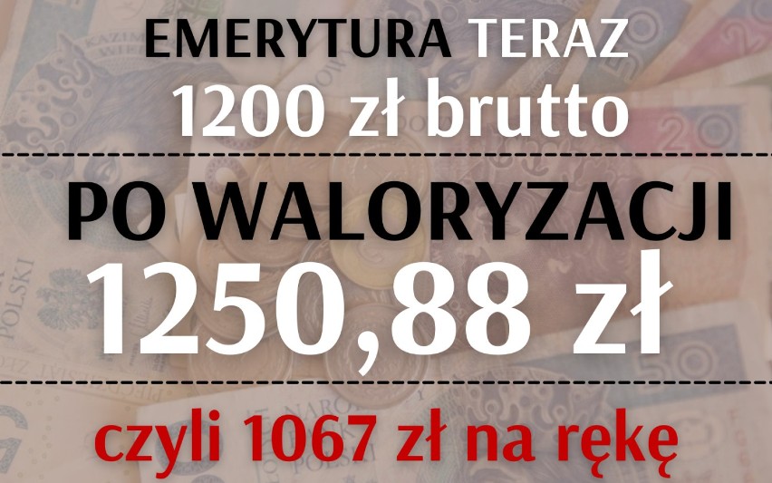 Sprawdź o ile wzrośnie emerytura i renta w 2021 na...