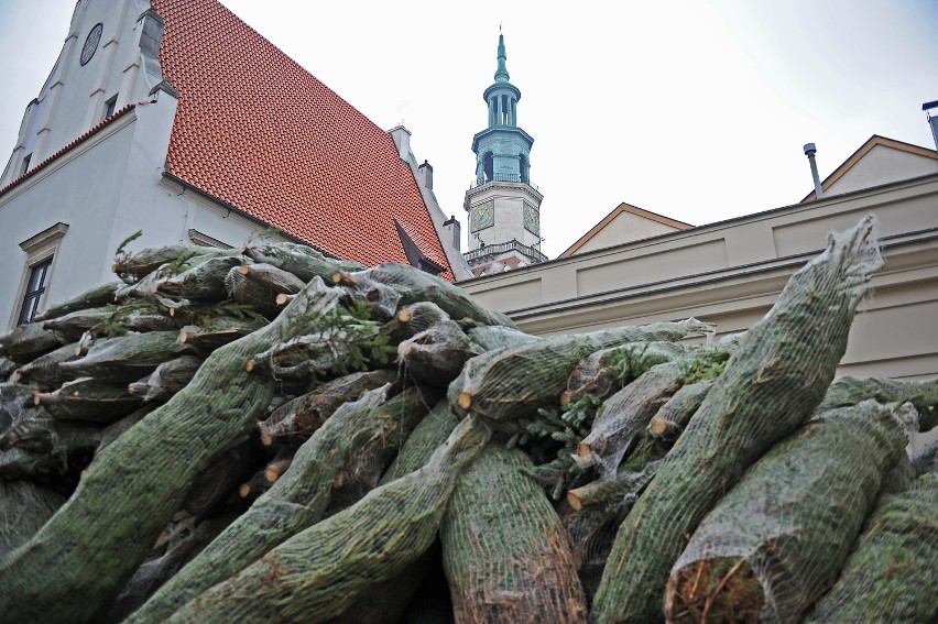 Święta w Poznaniu - poczuj ten klimat!