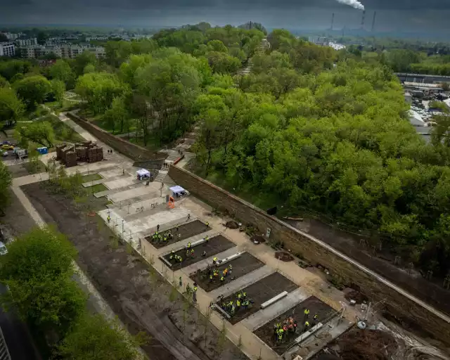 Na placu wejściowym do Parku Akcji "Burza" pod Kopcem Powstania Warszawskiego posadzono 2150 sadzonek