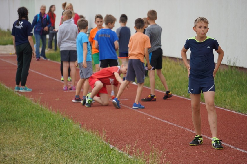 Bydgoskie Czwartki Lekkoatletyczne na Zawiszy [zdjęcia, wideo]