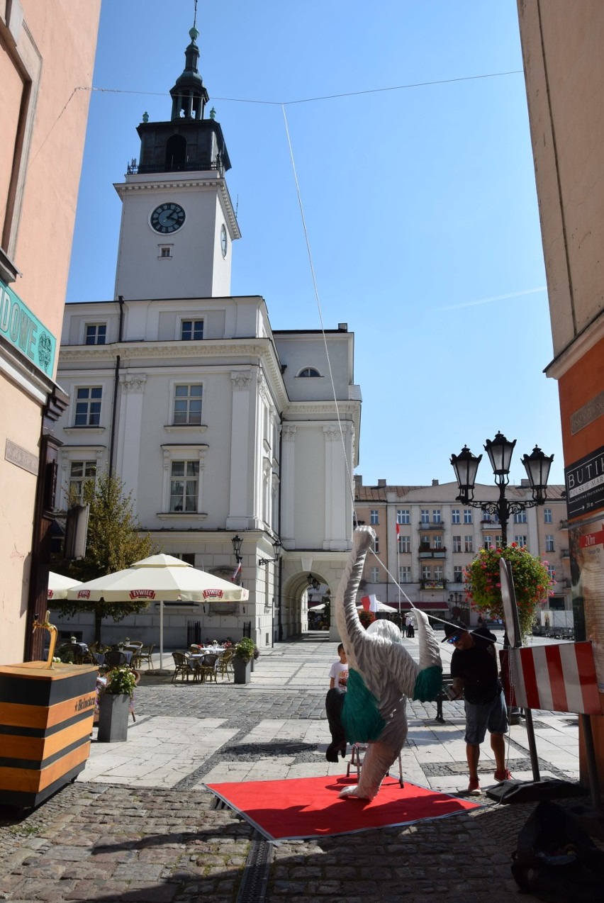 Goryl na Piskorzewskiej, czyli uliczna galeria artystów w...